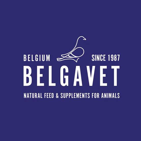 Belgavet