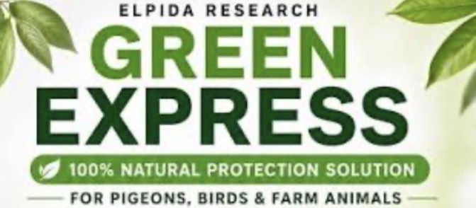 Green Express