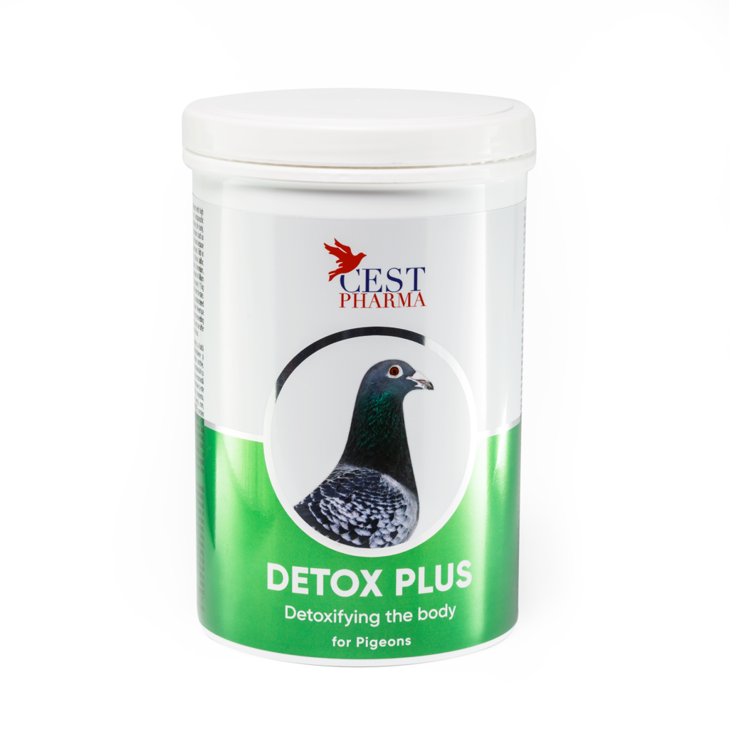 Detox Plus