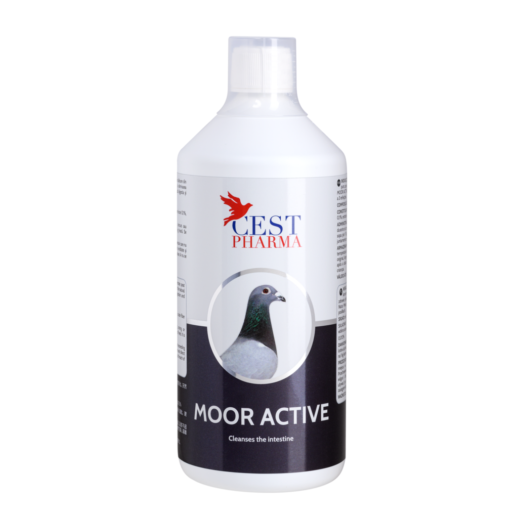 Moor Active